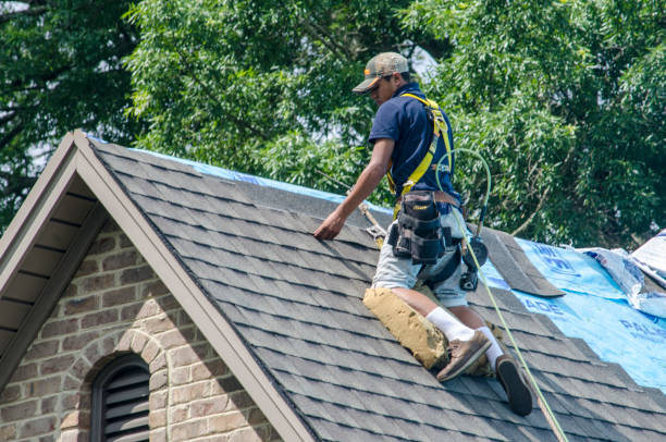 Best Shingle Roofing Installation  in USA